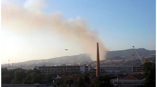 Son Dakika : İzmir'de orman yangını çıktı!