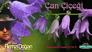 BUCA'NIN ÇAN ÇİÇEĞİ TANIMI