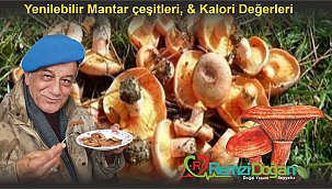 YENİLEBİLİR MANTARLAR HANGİLERİ